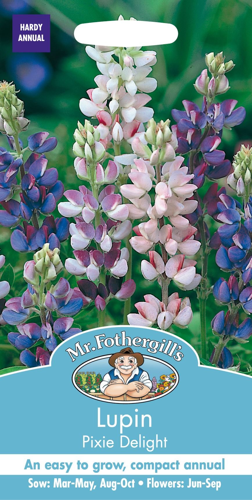 Mr Fothergills - Pictorial Packet - Flower - Lupin Pixie Delight - 75 Seeds