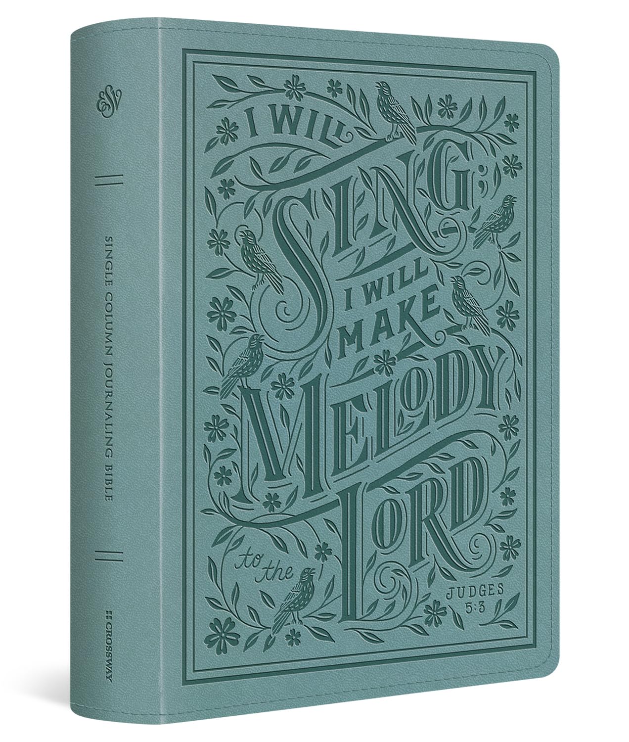 ESV Single Column Journaling Bible, Large Print - 9798874902582