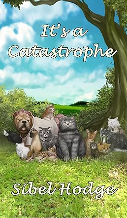 It's a Catastrophe