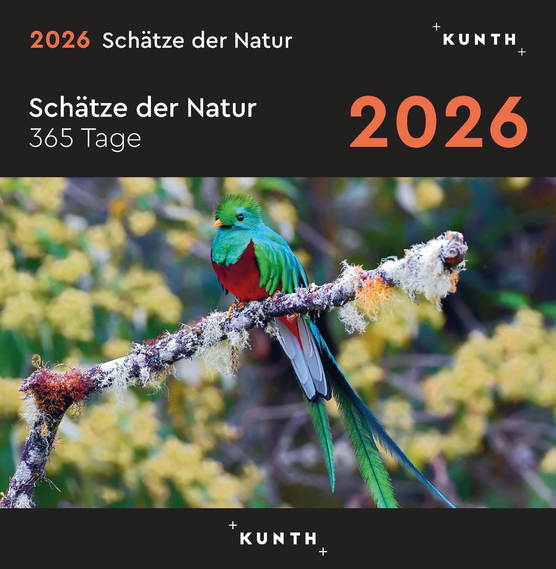 Schätze der Natur - KUNTH 365-Tage-Abreißkalender 2026: Tägliche Inspiration in Bild und Text. Kalender zum Aufhängen oder Aufstellen. (KUNTH Abreißkalender 365 Tage)