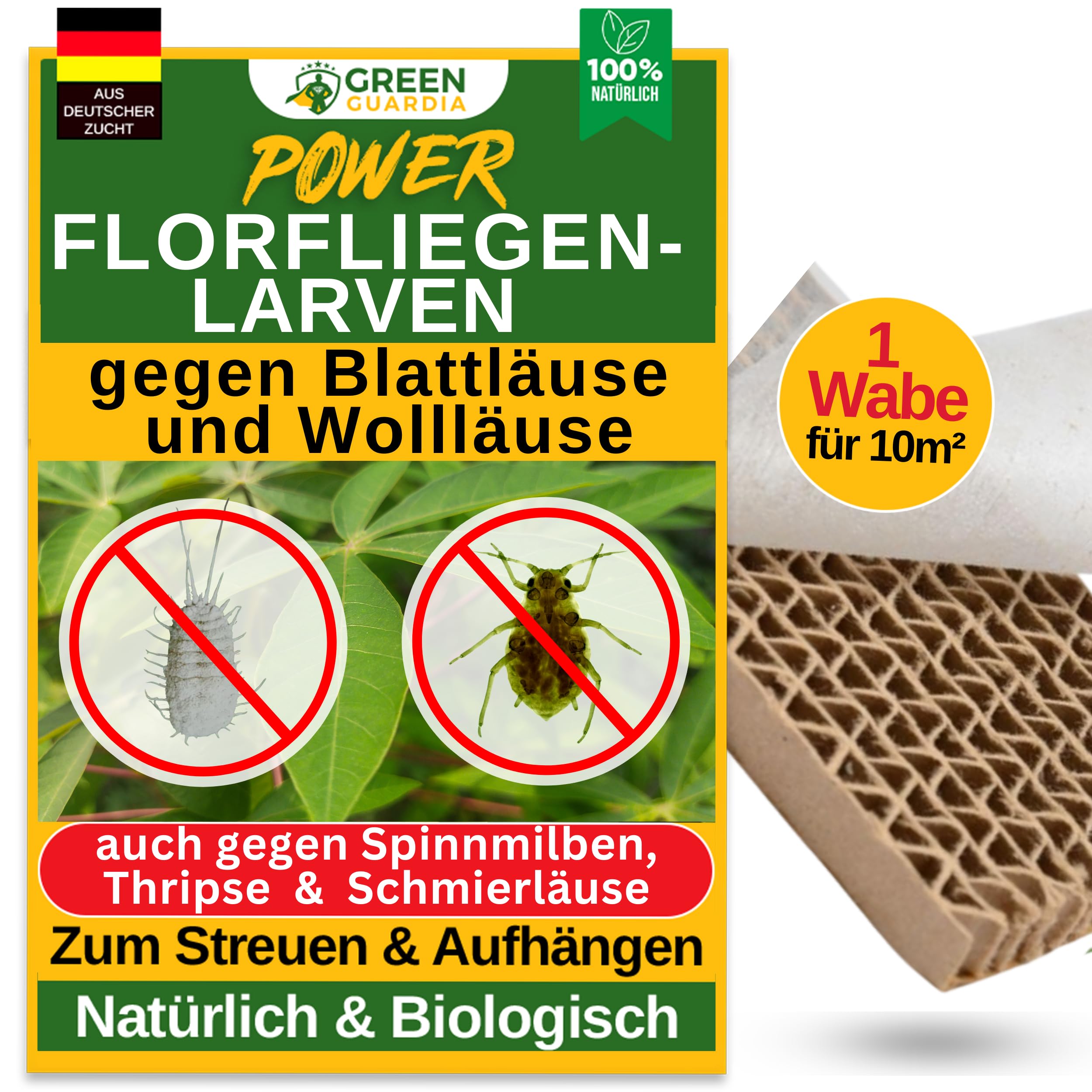 GREEN GUARDIA Potere larve di moscerini contro afidi e pidocchi - 1 nido d'ape per 10 m² - Agente biologico per efficace lotta contro afidi/pidocchi di lana per piante d'appartamento e ornamentali