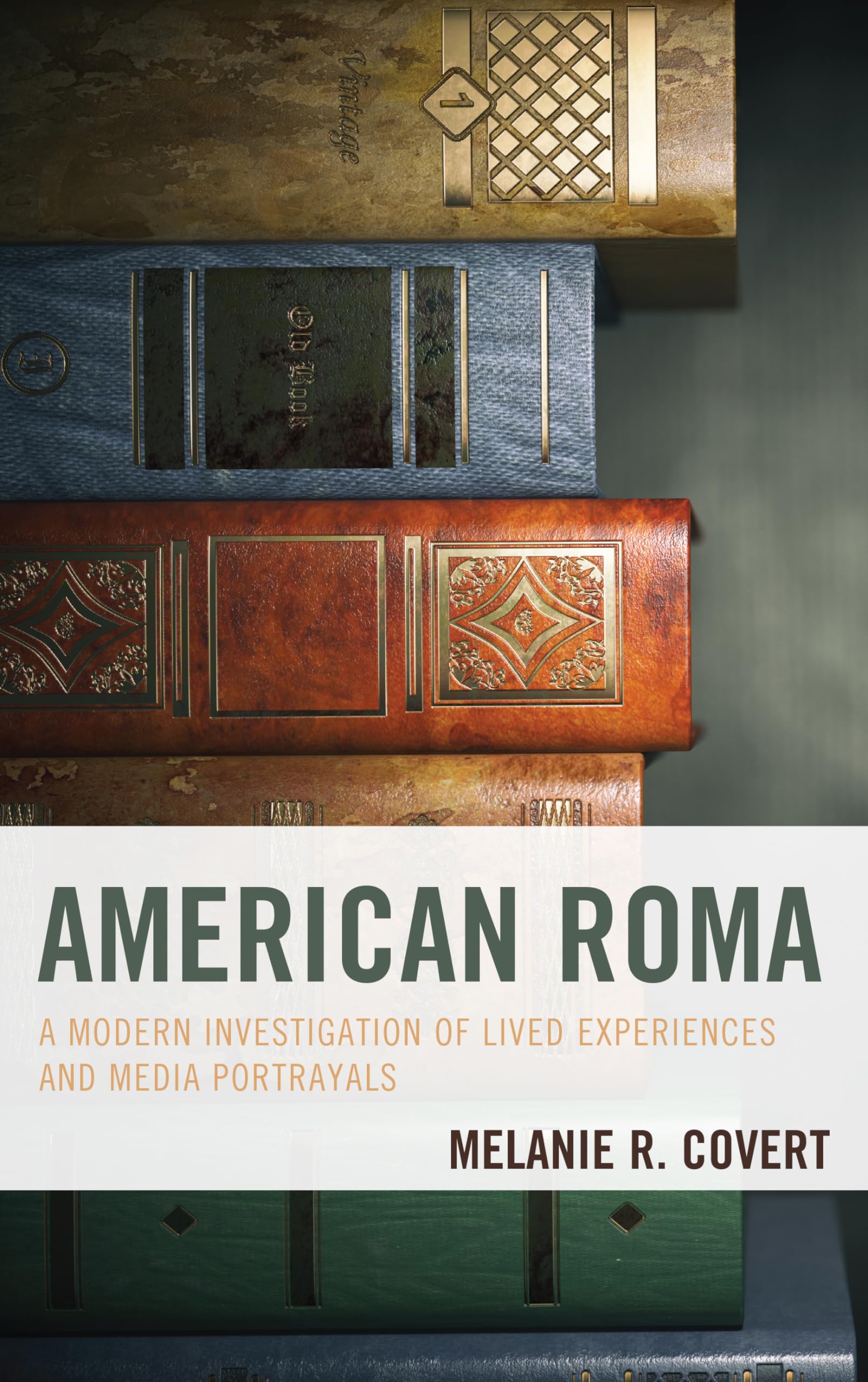 American Roma: A Modern Investigation of Lived Experiences and Media ...