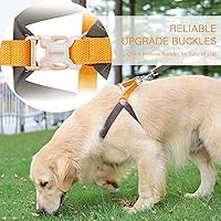 Vista 19 de No Pull Dog Harness and Leash Set, Step in Dog Halter Harness with Poop Bag Holder, Adjustable Lightweight Cotton Straps Suitable for Small Medium