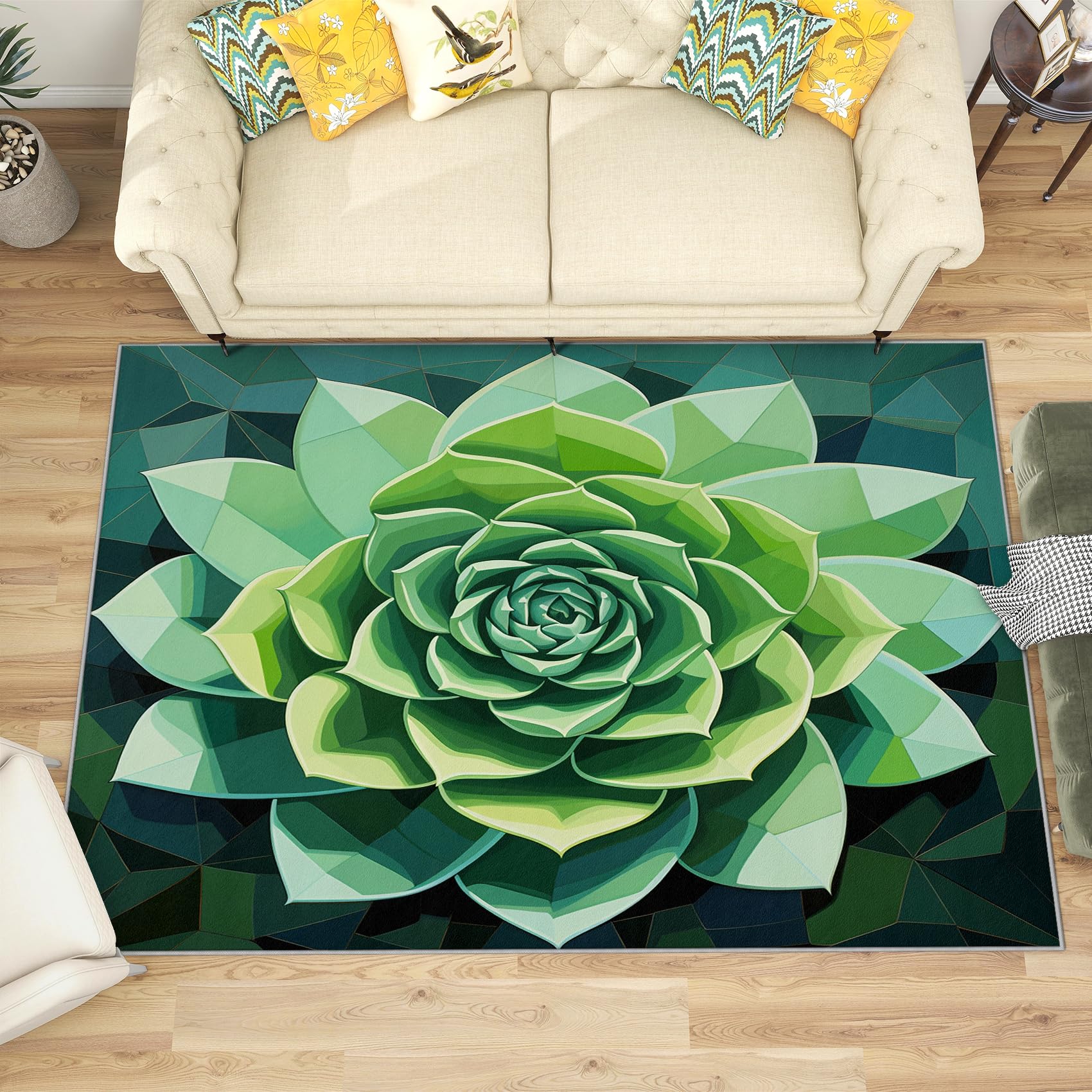 succulent plants potting soil Organic Succulent and Cactus Soil Mix