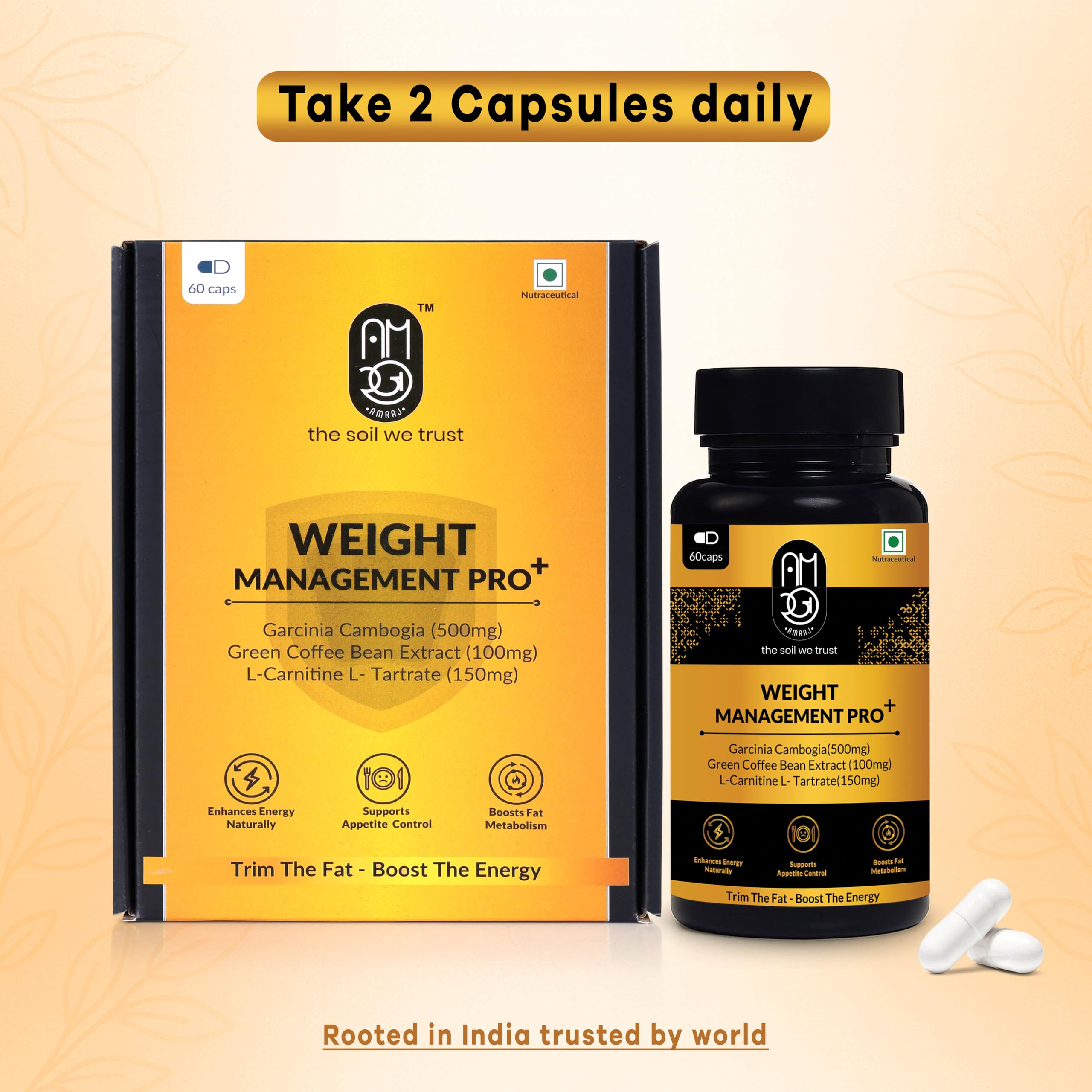 Weight Management Pro+ Fat Burner for Men & Women | Natural Weight Loss Supplement with Garcinia Cambogia, Green Coffee Bean Extract, L-Carnitine, Apple Cider Vinegar, Moringa Extract & Shilajit – 60 Capsules - Image 7 thumbnail
