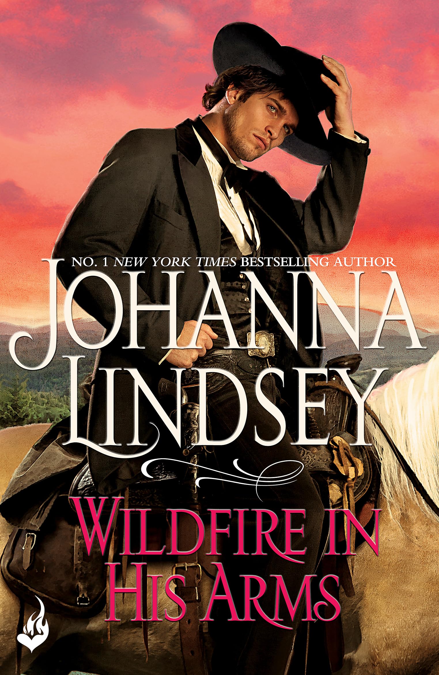 Wildfire In His Arms by Johanna Lindsey PAPERBACK 9781472233790