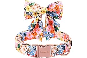 Adorable and Eye-Catching Dog Collar with Vibrant Cartoon Prints and a Charming Bow
