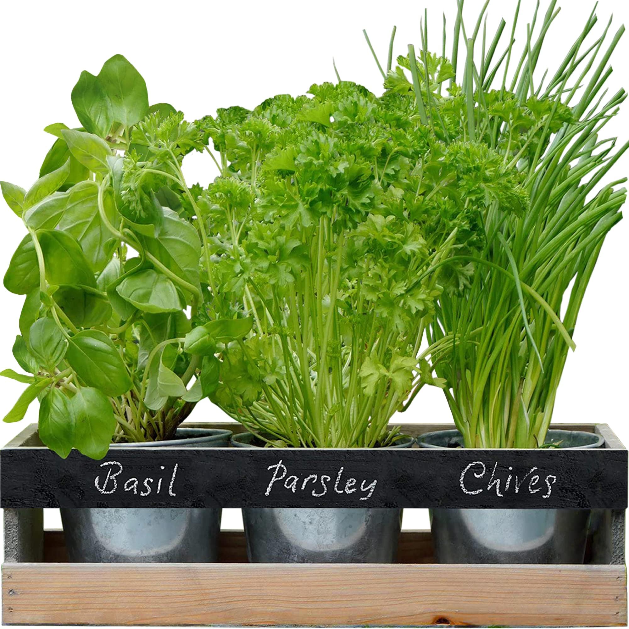 Viridescent® DIY Indoor Garden Kit - 3 x Reusable Plant Pots with Wood Planter Box, Drip Tray, Blackboard and Chalk