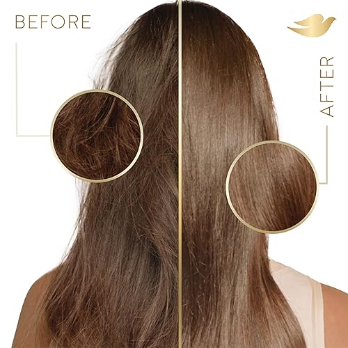 Miniatura 6 de Dove Champú Nutritive Solutions Daily Moisture hidratante para cabello seco 12 onzas líquidas 4 unidades