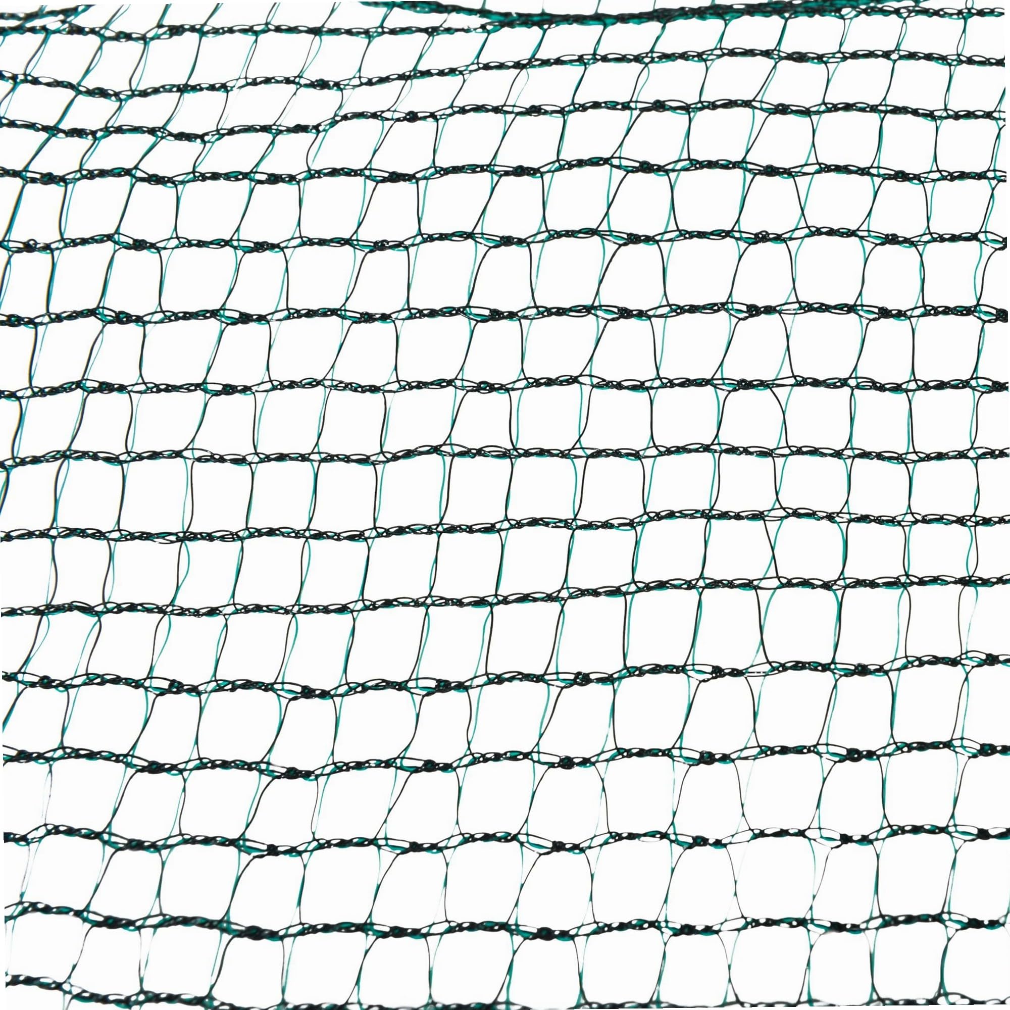 WERKA PRO Filet à Olives 8x8 m 50gr/m2 Vert Bords renforcés Anti UV Œillets Aluminium