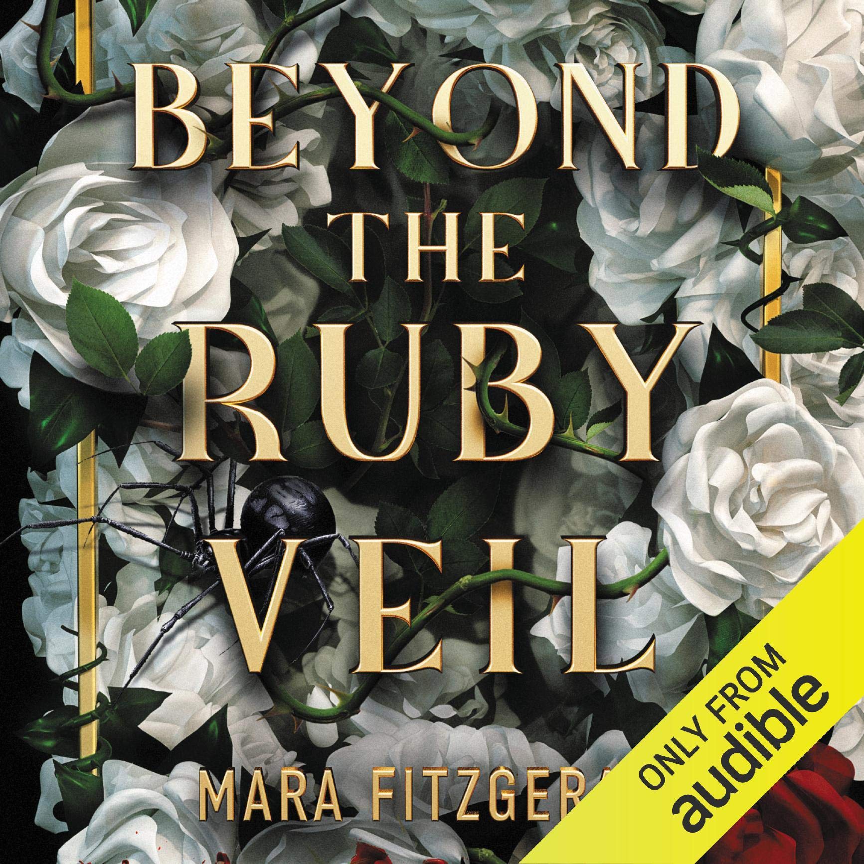 Cover art for Beyond the Ruby Veil