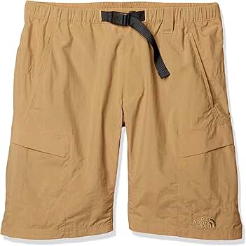 Amazon | [ザノースフェイス] クラスファイブカーゴショーツ