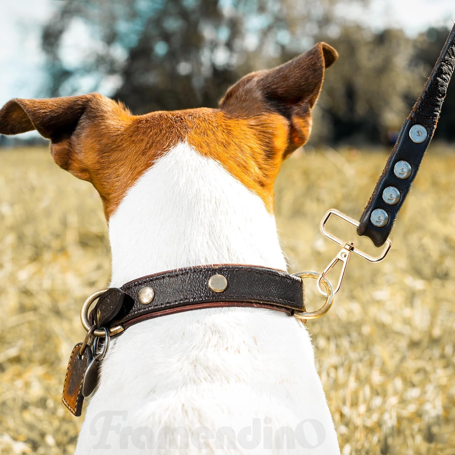 Framendino, 24 Pack Lobster Claw Swivel Clasps Lanyard D Ring Snap Hooks for Keychain Bag DIY Crafts 1.5 Inch Gold - Image 7