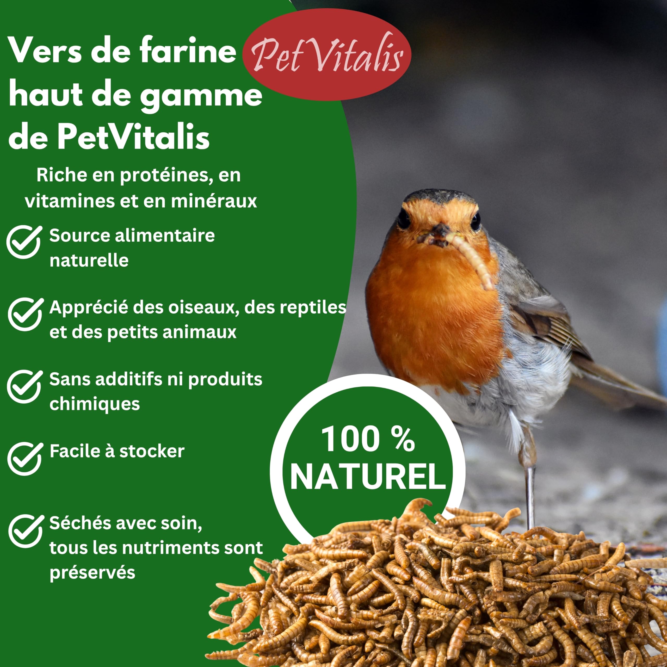 vers de Farine séchés – Aliment Complet Haut de Gamme pour Oiseaux Sauvages, complément à la Nourriture pour Oiseaux – en-Cas Riche en protéines pour Poissons, Reptiles et rongeurs (5 kg)