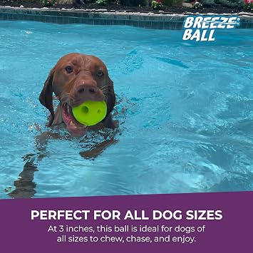 Multipet Breeze Balls for Dog - Bevel Tech Interactive Dog Toy