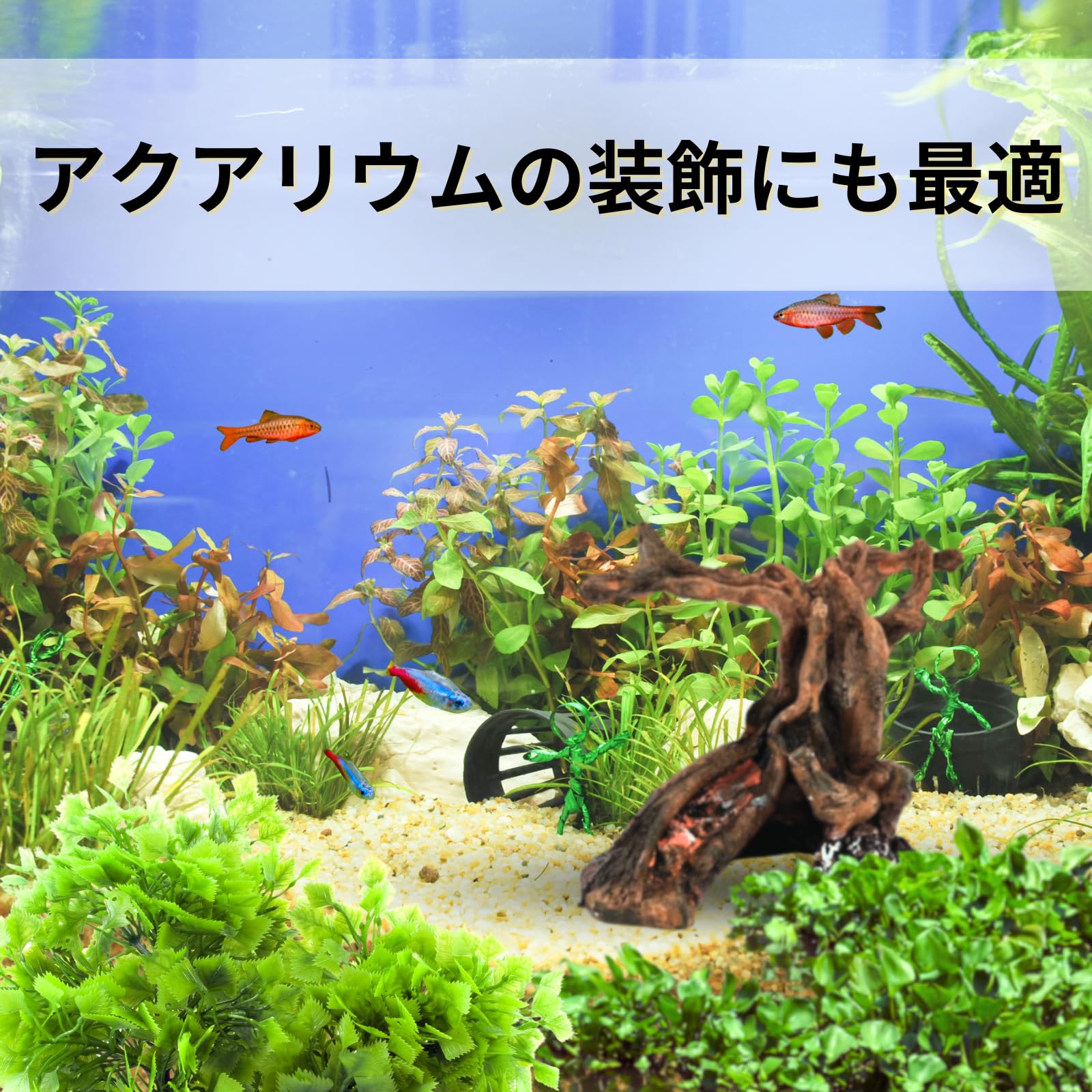 Amazon.co.jp: Nanarico 爬虫類 流木 登り木 テラリウム アクア