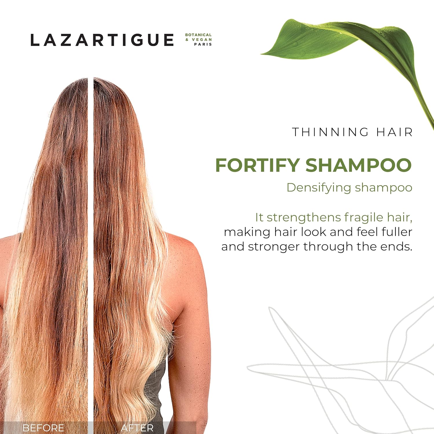 Lazartigue Fortify Densifying Shampoo, Enriched with Guarana and Ricinus, Strengthens Fragile Hair, Stronger Appearance, Perfect for Everyday Usage, Vegan, Lemon - Image 2
