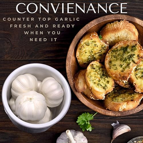 Miniatura 6 de Okavango - Contenedor de ajo de terracota - Almacenamiento de ajo - Encimera de ajo - Soporte para ajo - Soporte de cerámica para ajo - Tarro de ajo