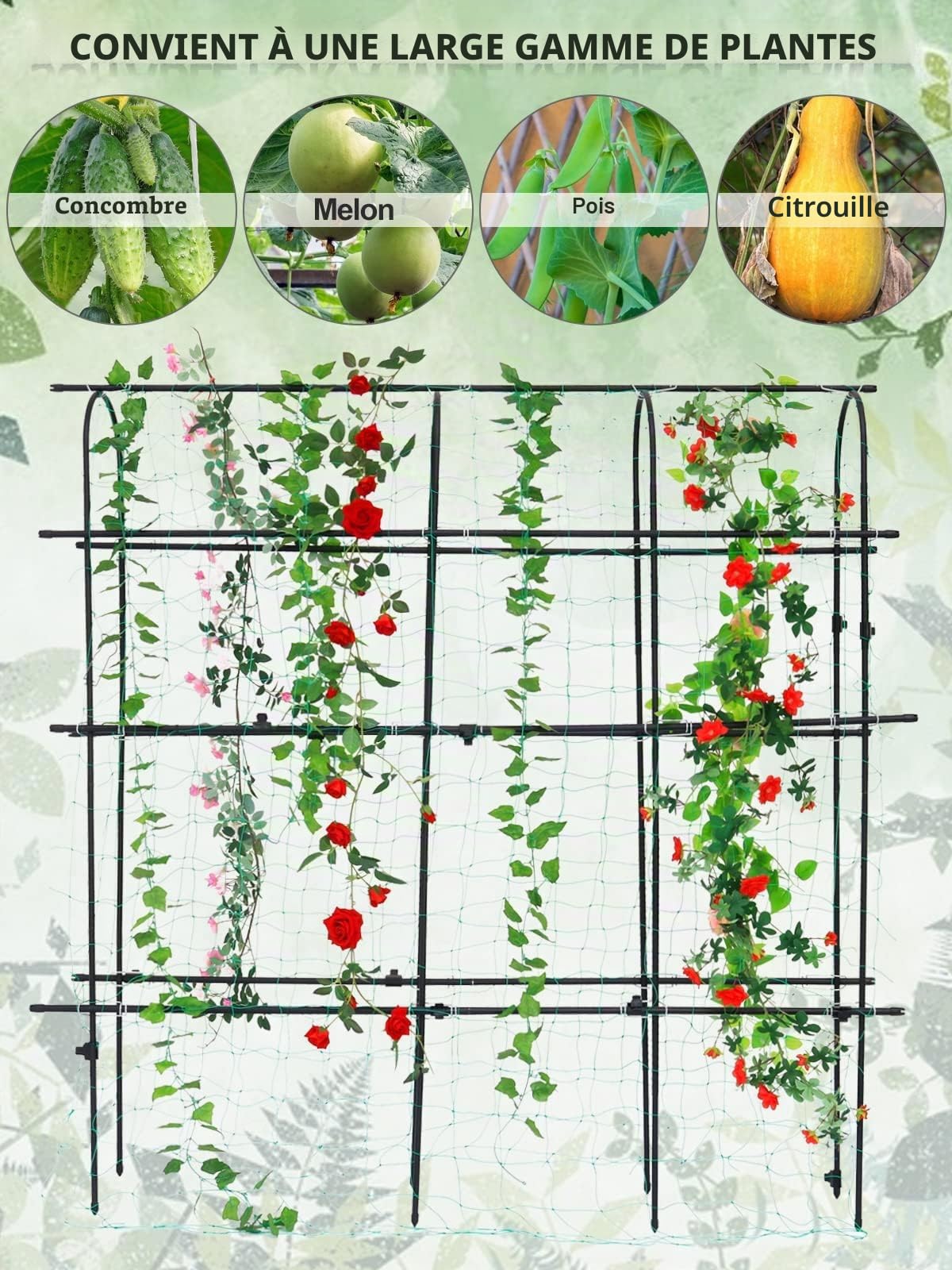 Kalolary 6 × 6 Pieds U Haricots Treillis Jardin pour Plante Grimpante