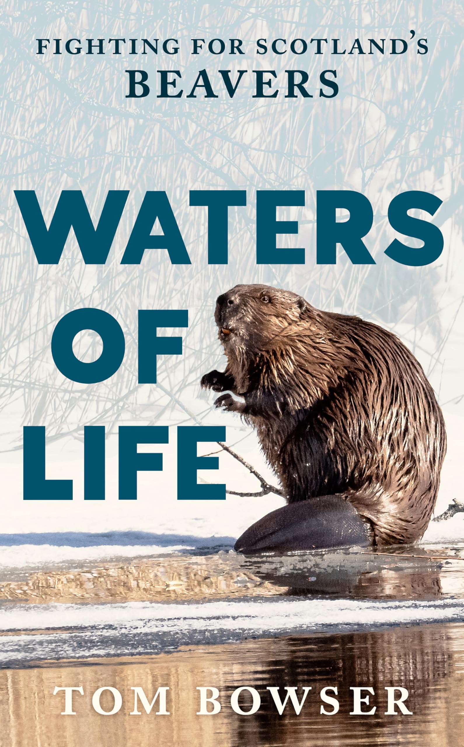 Waters of Life by Tom Bowser PAPERBACK 9781780278674