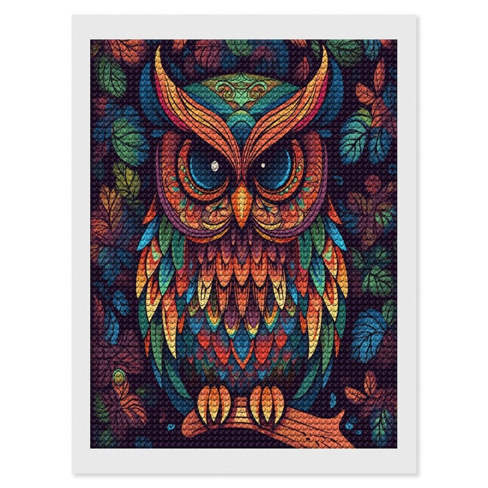 FodPand Color Owl Pattern Diamond Art Kits for Adults Diamond Painting Kits for Beginner 5D DIY Full Round Drill Diamond Dot Painting Gem Art Crafts for Home Wall Decor