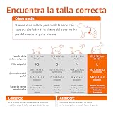 Ver la foto 4
