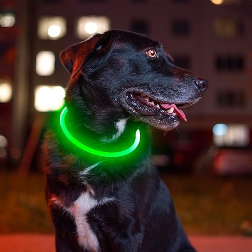 Miniatura 6 de BSEEN Collar de perro LED recargable por USB collar de perro brillante para seguridad nocturna collar iluminado de moda para perros pequeños