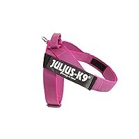 Julius-K9 Pettorina a Fascia Color & Gray, Taglia 3