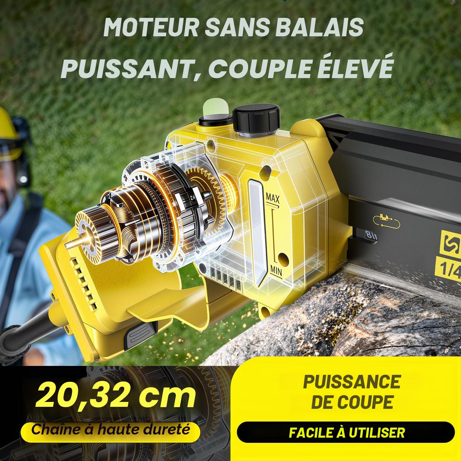 2-en-1 8 Pouces Elagueuse sur Perche, Mini Tronçonneuse Brushless avec 2 x 4,0 Ah Batteries, Coupe Branche Telescopique, Portée 4,2 M pour Branches et jardinage