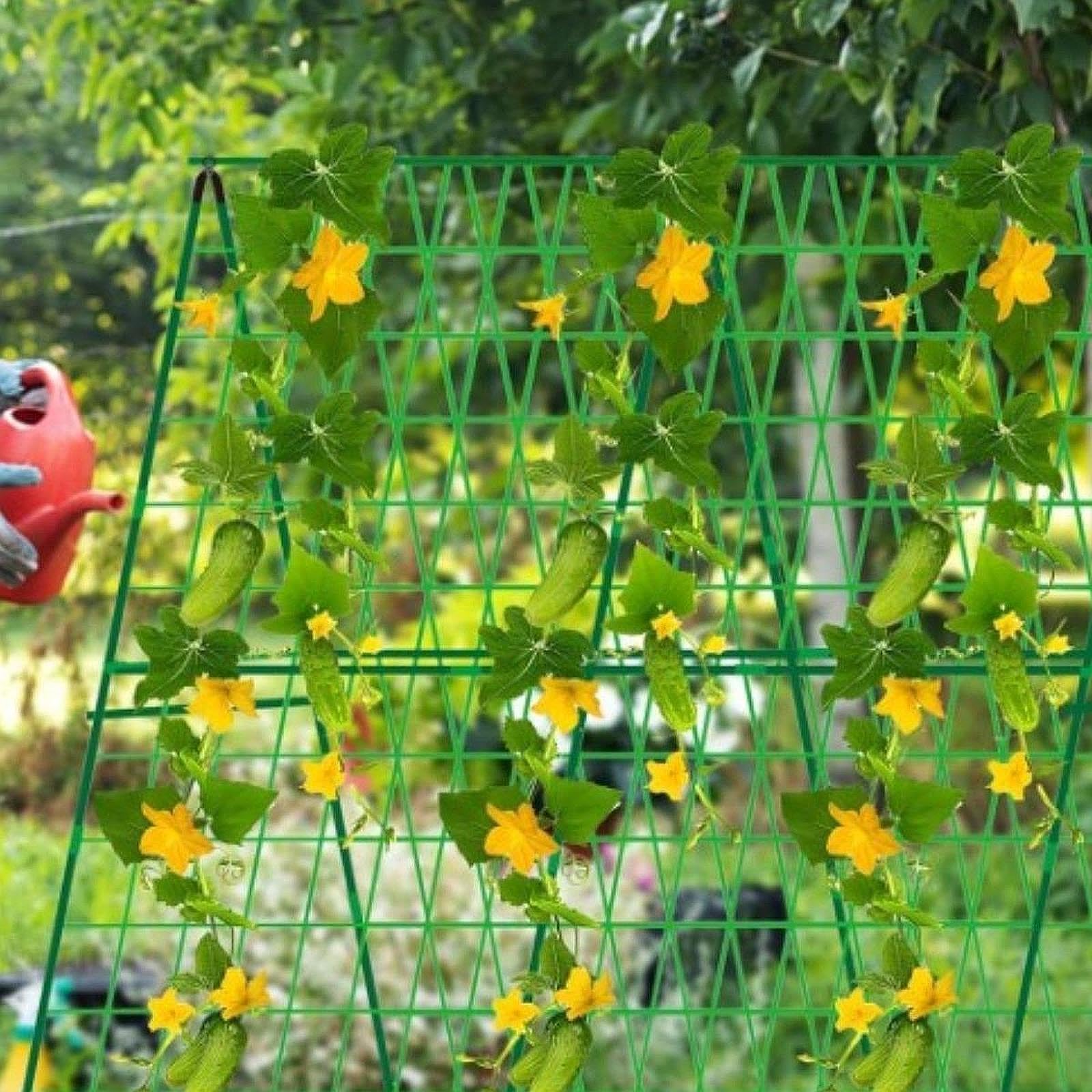 Tuteur pour Concombres, Support Métallique pour Plantes Grimpantes, Structure de Culture en Détachable avec Tubes en Acier Revêtus de PE, S, 90 Cm X 90 Cm