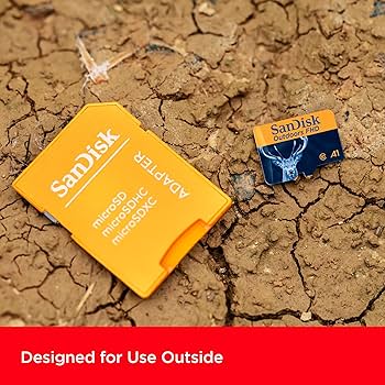 トレイルカメラ　SanDisk SDカード128G付 SanDisk 128 Gig SD Card | SD Memory Card for Trail Cameras