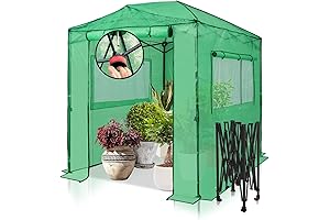 8x6 Walk-in Portable Greenhouse, Garden Green House