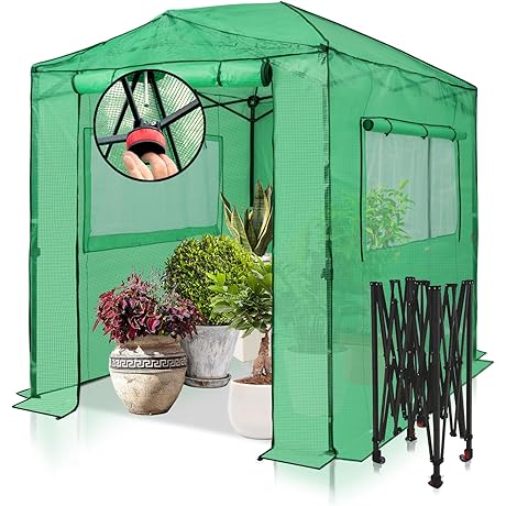 8x6 Walk-in Portable Greenhouse, Garden Green House