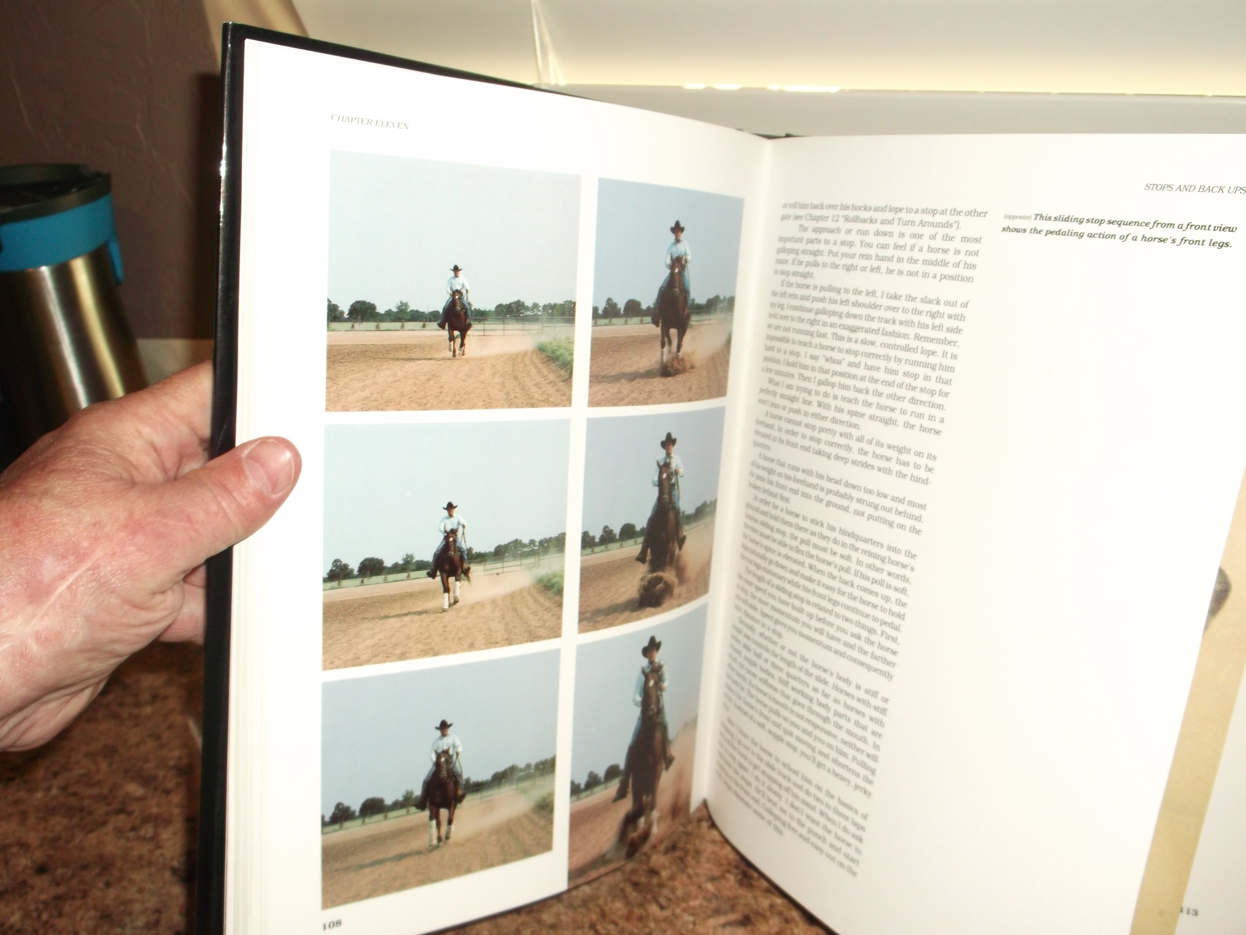 Reining: The Art of Performance in Horses