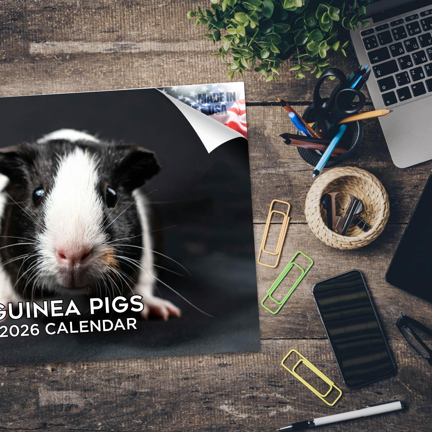Calendario 2024 2025 de conejillos de indias, calendario mensual de pared de animales lindos, abierto de 12 x 18 pulgadas, papel grueso que no se corre, regalo, planificador académico para profesores,