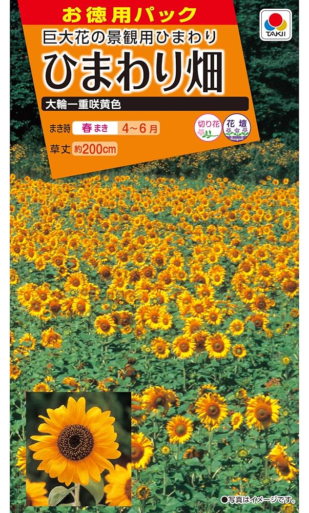 ひまわり ひまわり・F1サンリッチ(R) フレッシュミックス| 種・苗
