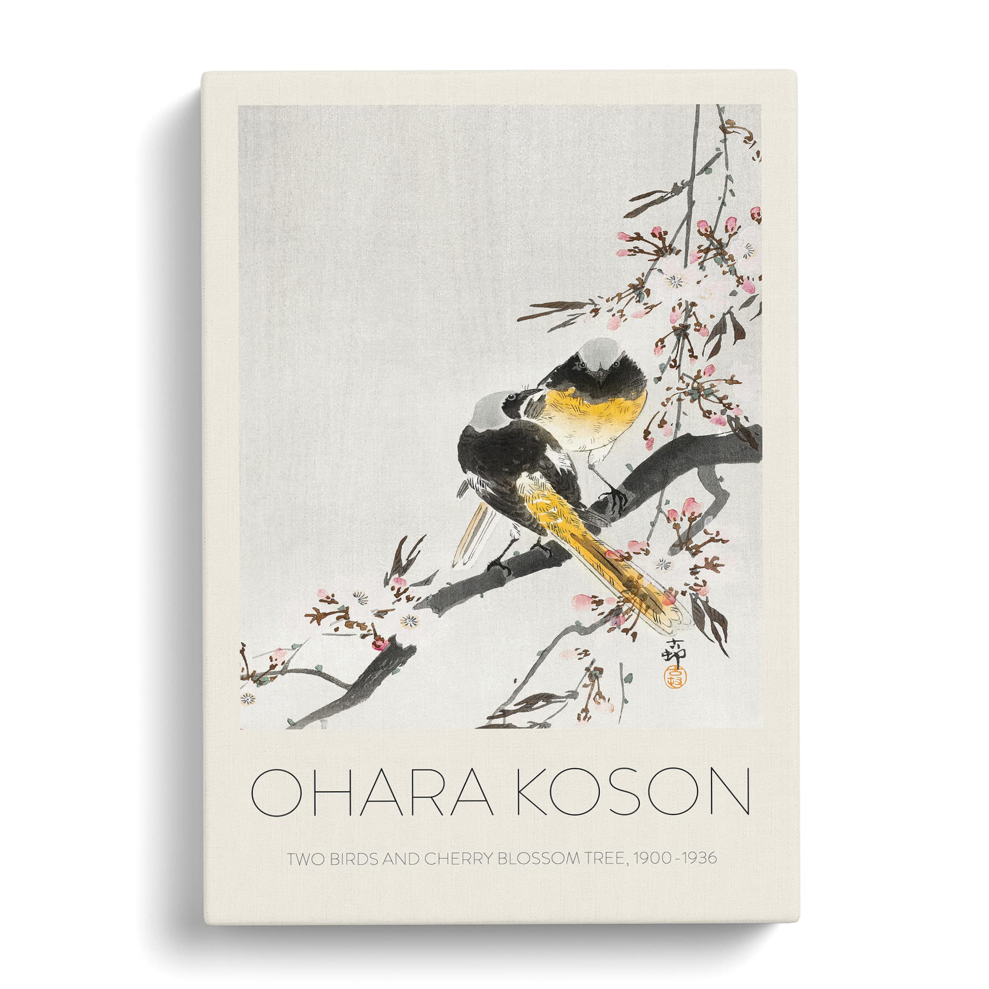 Two Sable Red Tails & Cherry Blossom By Ohara Koson Canvas Print, Mixed, 25L x 50W cm - Image 2