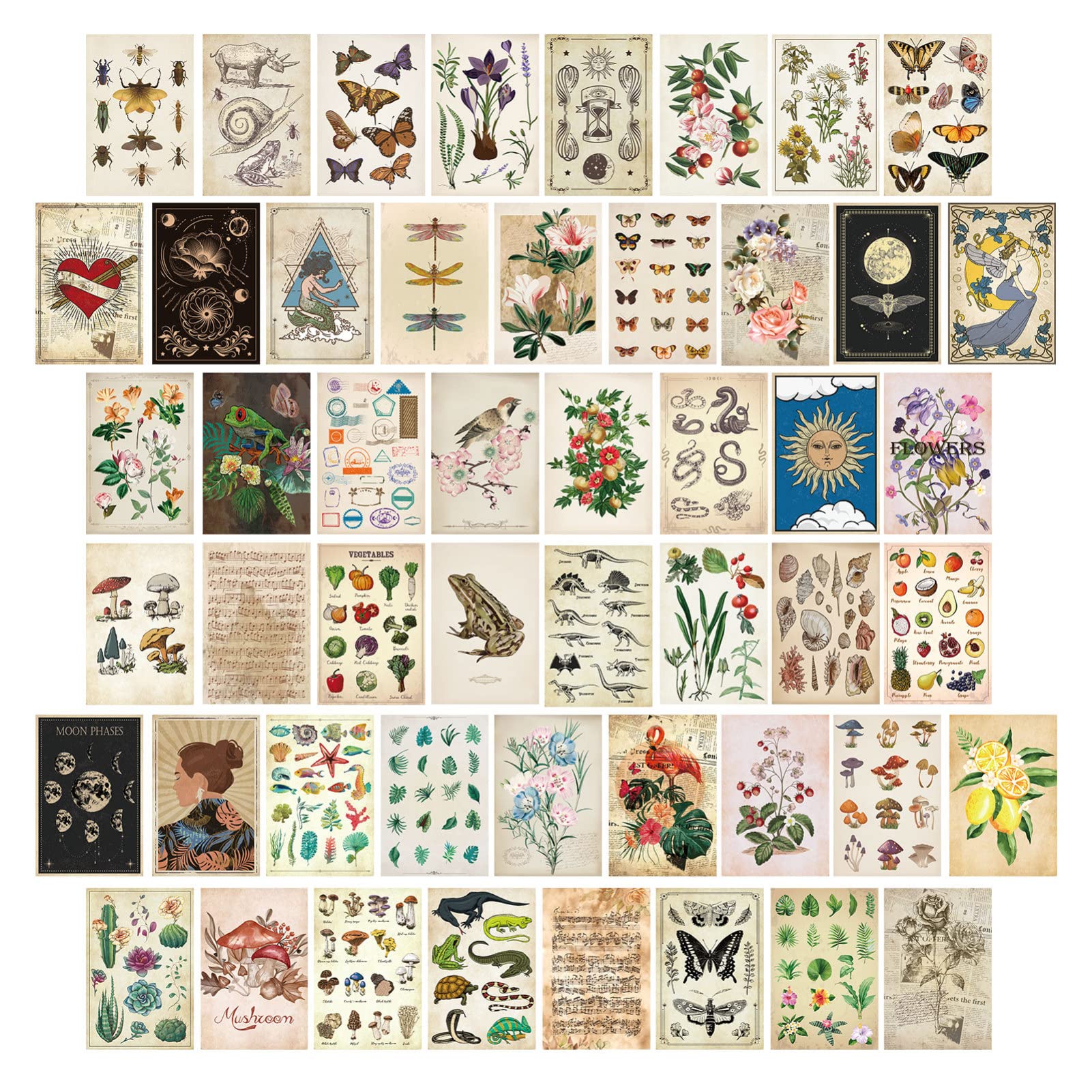 Buy EXCEART 50Pcs Vintage Collage Kit Aesthetic, Wall Art Prints for