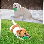 Tough Jouets de chew pour chiens pour les brochettes agressives, boules de chien indestructibles pour les boulettes agressive, boulettes de squeaky pour chiens, jouets de squakey pour grands chiens, boule de poids drôle