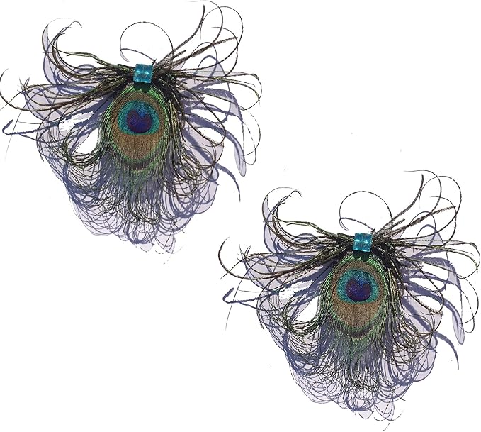 Peacock Eyes and Rhinestones Shoe Clips Amazon.co.uk Fashion