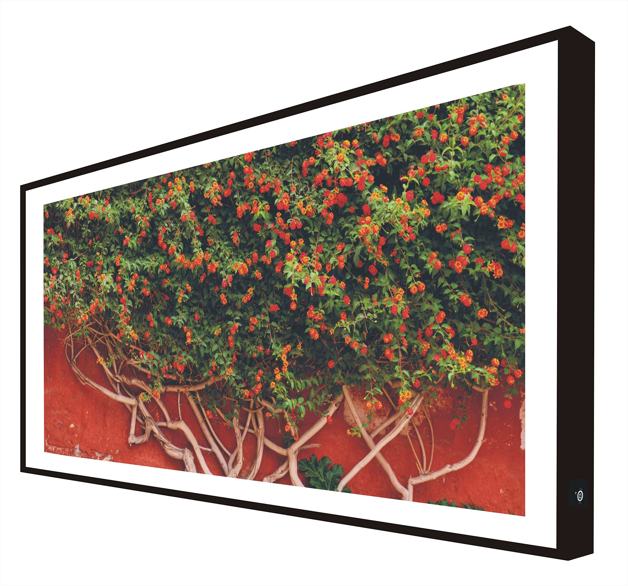 Tableau rétro-éclairé Lantana avec cadre en bois laqué noir pour salon