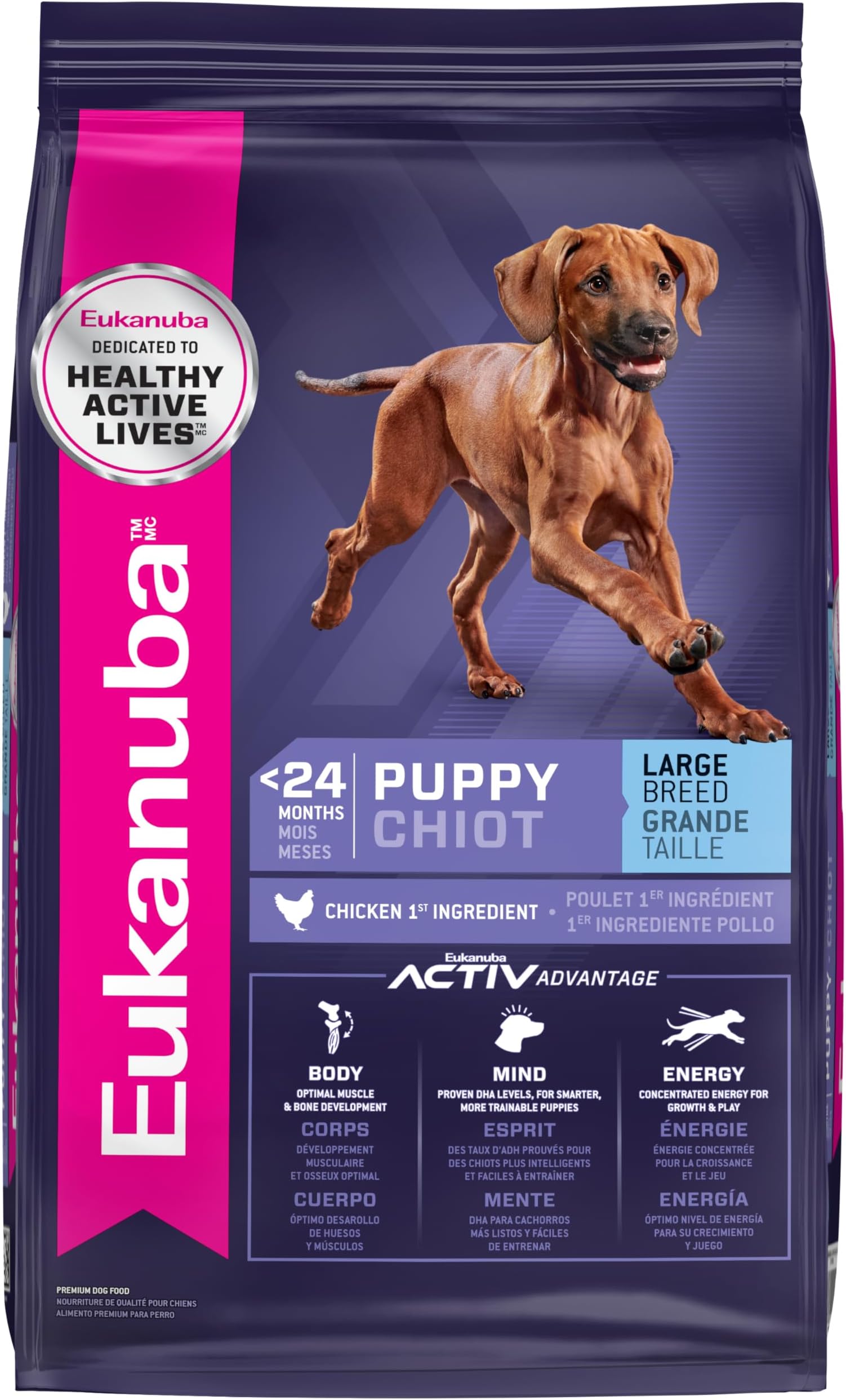 Puppy Large Breed Dry Dog Food, 30 lb Bag