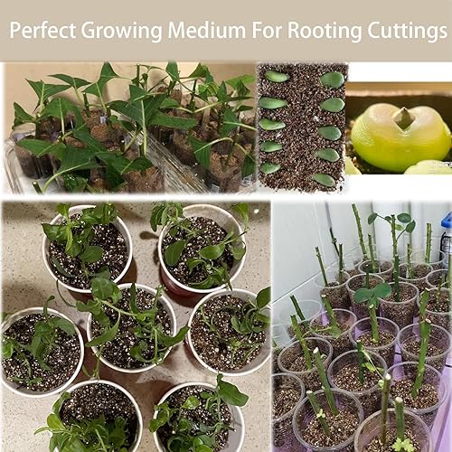 Miniatura 5 de Vermiculita gruesa natural de 15 cuartos de galón para plantas, mezcla mineral orgánica para macetas, cultivo de plantas en maceta, hidroponía,