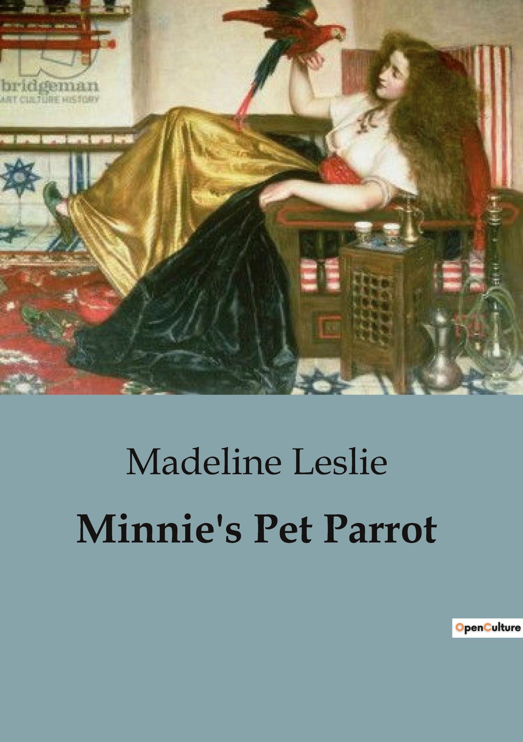 Minnie's Pet Parrot: The Adventures and Antics of a Mischievous Parrot