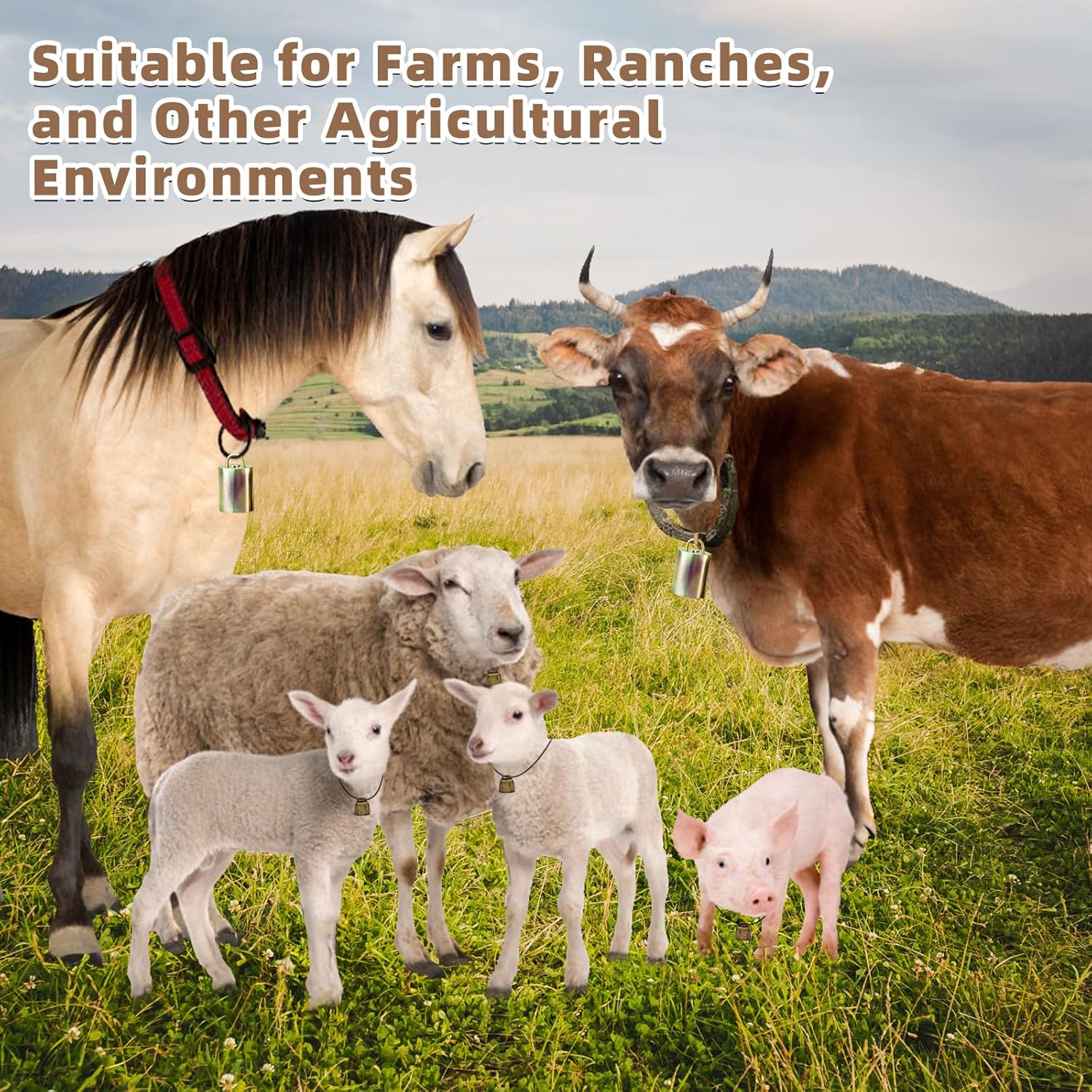 MJMX Large and Small Animal Bells Set – 2 Stainless Steel Large Bells + 4 Antique Bronze Small Bells for Cattle, Sheep, Pigs, Horses, and Pets – Loud, and Rust-Resistant - Image 4