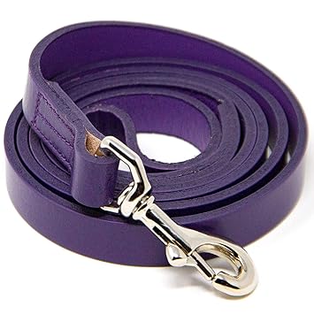 Logical Leather 5 Foot Dog Leash - Best for Training - Water Resistant Heavy Full Grain Leather Lead - Purple