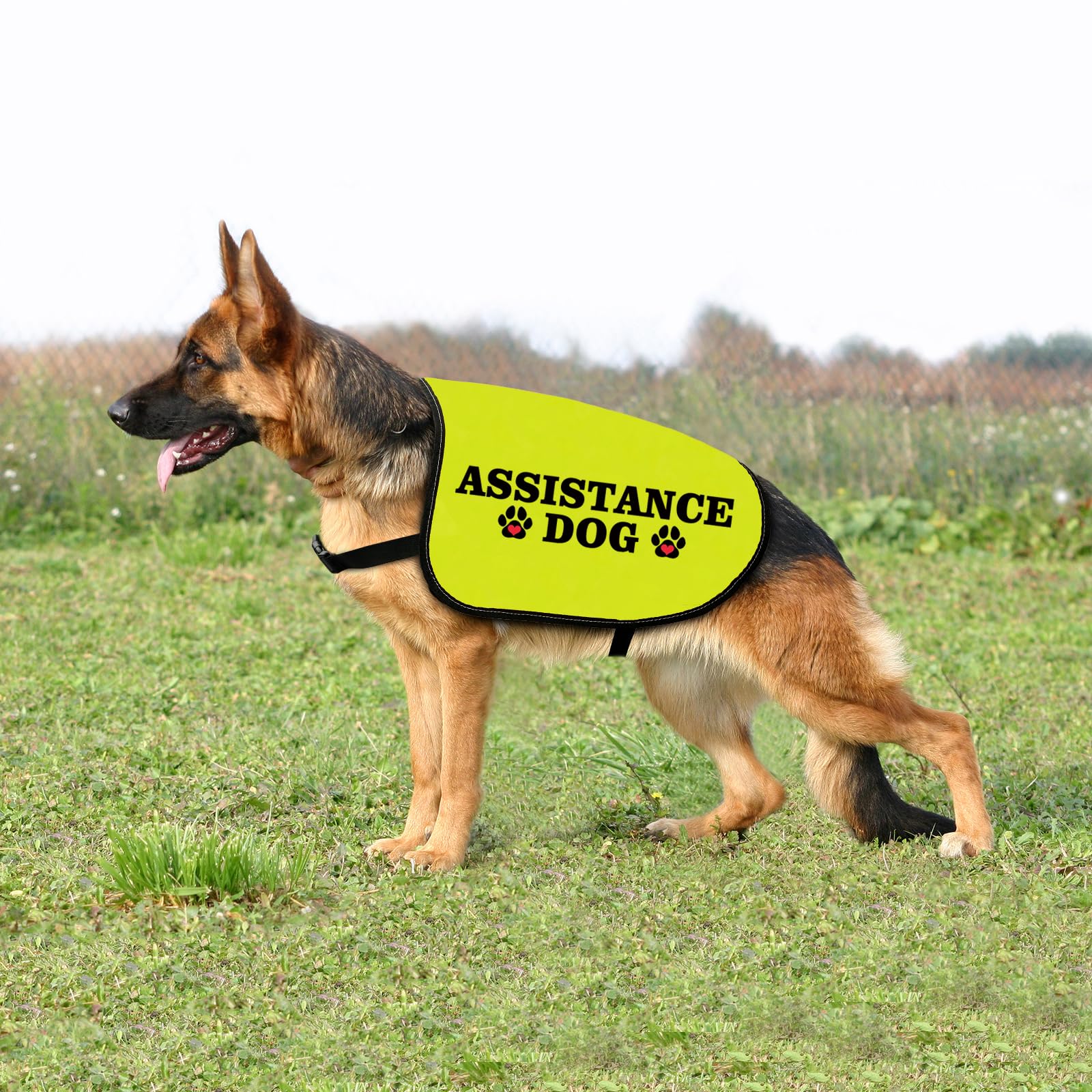 Veste d'assistance amusante pour chien avec slogan - Cadeau pour chien de travail - Cadeau de distanciation sociale (chien d'assistance, taille L)