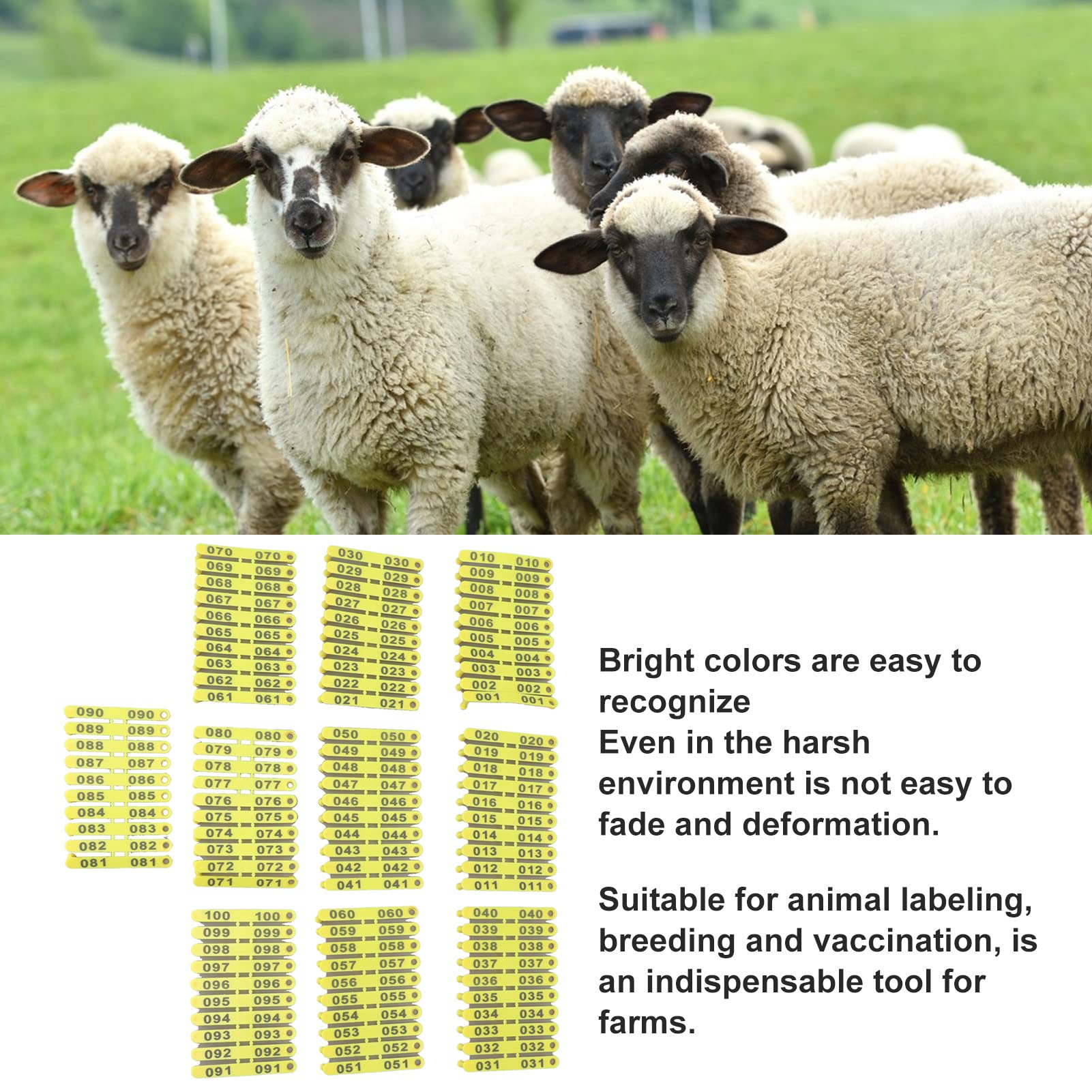 Étiquettes d'oreille pour Mouton, Agneau et Chèvre, Identification du Bétail, Numérotées 001-100, Lot de 100 Pièces, Boucles d'Identification pour Ovins, Caprins, Petits Ruminant