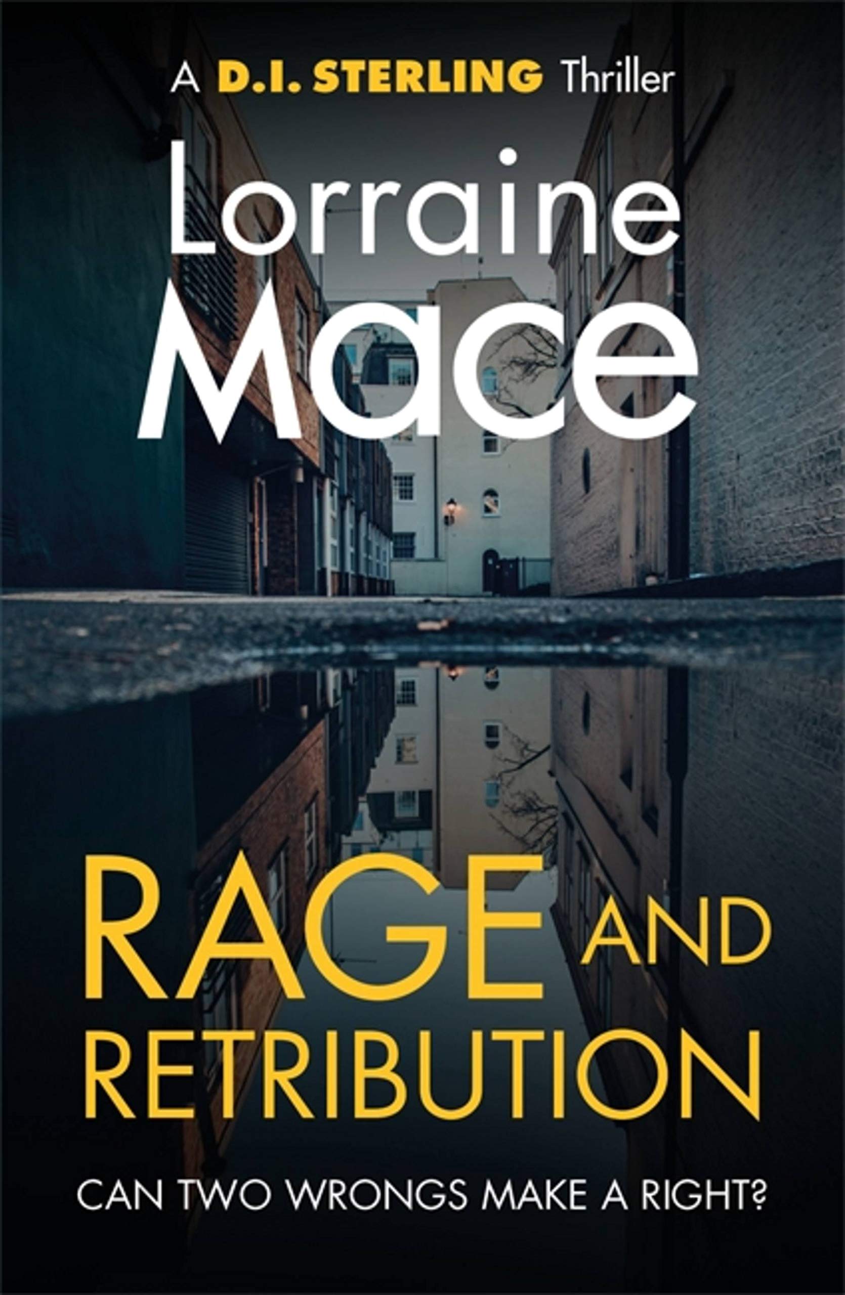 Rage and Retribution: A twisting and compulsive crime thriller (DI Sterling Thri