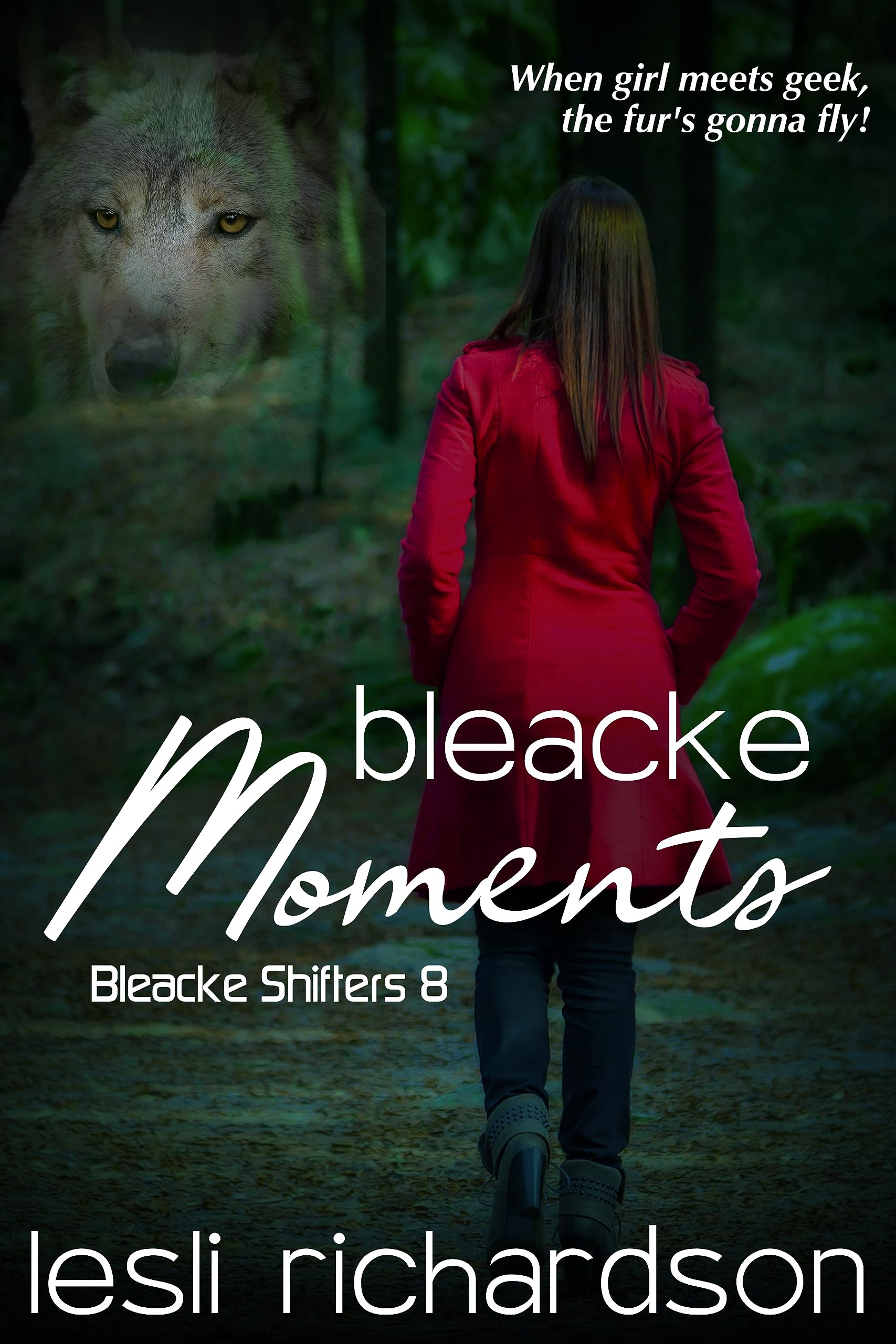 Cover of Bleacke Moments